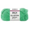 birch_elliston_spearmint