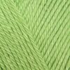 Budgetyarn Acrylic Lettuce